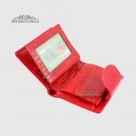 Кошелек женский CANPELLINI 967 Кожаный Среднего размера На кнопке P401 RED LACK REPTILE Красный  Красный