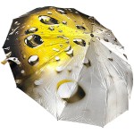 Женский складной зонт автомат Три Слона TSL220-4 Golden Rain 12 спиц