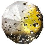 Женский складной зонт автомат Три Слона TSL220-4 Golden Rain 12 спиц