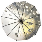Женский складной зонт автомат Три Слона TSL220-4 Golden Rain 12 спиц