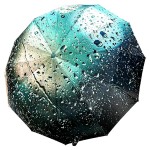 Женский складной зонт автомат Три Слона TSL220-5 Aqua Rain 12 спиц