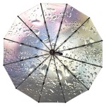 Женский складной зонт автомат Три Слона TSL220-6 Rainbow Rain 12 спиц