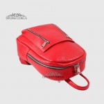 Рюкзак женский VALIENTE 1062 Одно отделение Вертикальные молнии IB Nat Красный Красный/Розовый