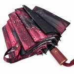 Зонт женский полуавтомат Три Слона 34023-5 RUBY RAIN, бордовый
