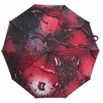 Зонт женский полуавтомат Три Слона 34023-5 RUBY RAIN, бордовый