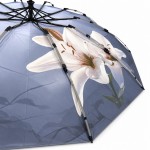 Женский складной зонт автомат Три Слона N7567 White Lily зеленый 10 спиц