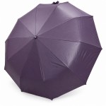Женский складной зонт автомат Три Слона N7567 Lilac Magnolia фиолетовый 10 спиц