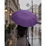 Зонт женский полный автомат Три Слона L37092  VIOLET (Сиреневый) 12 усиленных спиц