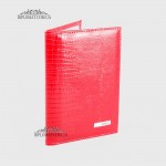 Обложка для автодокуменов KARYA 0428  074 Красный/Розовый