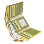 Кошелек женский кожаный VISCONTI RB43 Bora c RFID  Lime Multi  