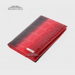 Обложка для автодокуменов KARYA 433  03* Красный/Розовый
