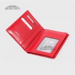 Обложка для автодокуменов KARYA 433  074 Красный/Розовый